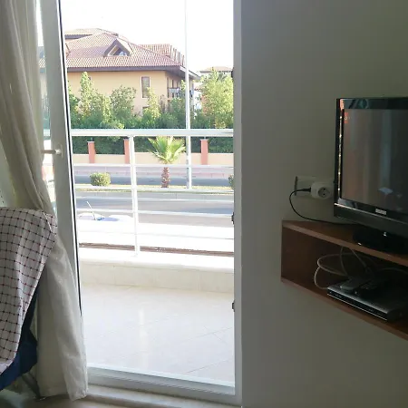 Oguz 3* シダ